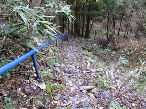 20161216hike (376)